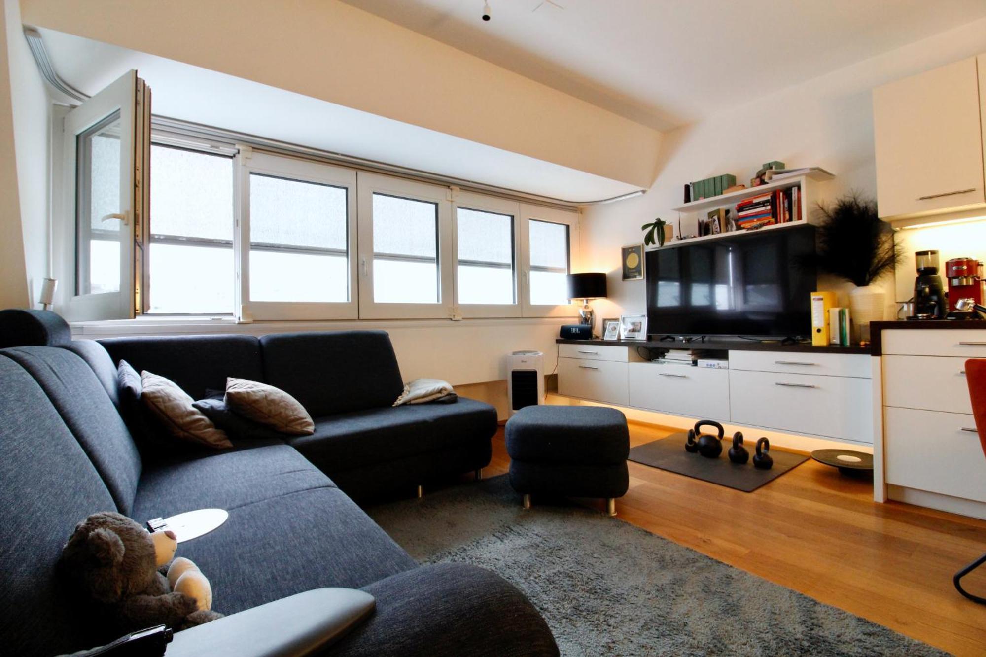 Apartment Modern Rooftop Vienna
